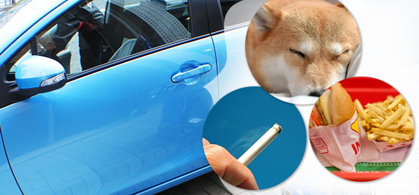 嫌な臭いを強力消臭