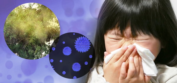 菌なども強力除菌